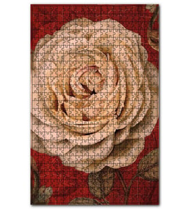 Cakapuzzle Yağlı Boya Beyaz Gül Resmi Görseli Puzzle Yapboz MDF (Ahşap) (500 Parça)