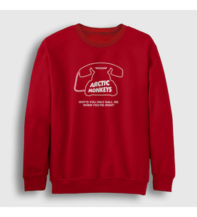 Presmono Unisex Beyaz High Arctic Monkeys Sweatshirt 13888tt (Kırmızı)