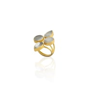 Kadir Jewellery 22 Ayar Altın Kaplama Zirkon Taşlı Kadın Vintage Yüzük (Gri)