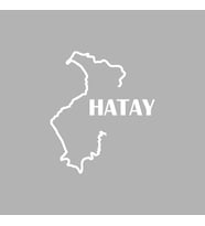 Hatay Harita Araba Sticker siyah 15x18 CM (Beyaz)