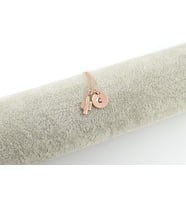 Kişiye Özel Harfli Kaktüs Kolye  925K Gümüş (Rose)