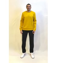 Erkek Bisiklet Yaka Rahat Kalıp 3 iplik İçi Polarlı Kalın Sweatshirt SPR24SW36 (Hardal)