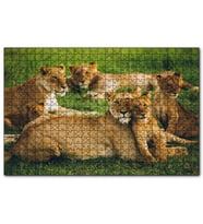 Cakapuzzle Çayırda Dişi Aslanlar ve Yavruları  Puzzle Yapboz MDF (Ahşap) (1000 Parça)