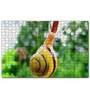 Cakapuzzle Ağaç Dalı Üzerindeki Salyangoz Yakın Plan  Puzzle Yapboz MDF (Ahşap) (1000 Parça)