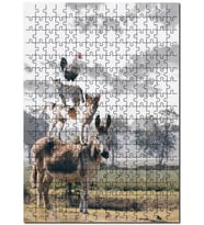 Cakapuzzle Bremen Mızıkacıları ve Bulutlu Gökler Puzzle Yapboz MDF (Ahşap) (500 Parça)