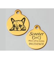İsimli Köpek Tasma Ucu (Gold)