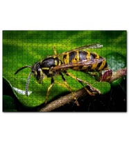 Cakapuzzle Yapraktan Su İçen Eşek Arısı Makro Çekim  Puzzle Yapboz MDF (Ahşap) (1000 Parça)