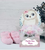 Kişiye Özel Hoşgeldin Bebek Aranjman Hediye Seti 93860 (Pembe)