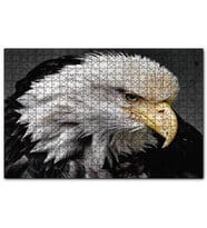 Cakapuzzle Amerikan Kartalı Makro Çekim  Puzzle Yapboz MDF (Ahşap) (255 Parça)