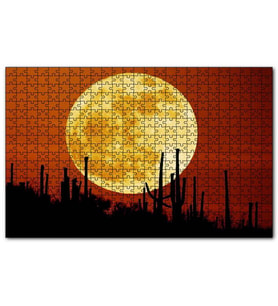 Cakapuzzle Arizona Kaktüsler Arkada Muhteşem Süper Ay Puzzle Yapboz MDF (Ahşap) (255 Parça)