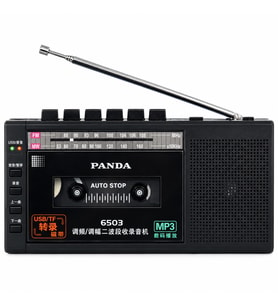 Panda 6503 25W Kaset Çalar Radyo USB/TF SES Kaydedici Özellikli Teyp Radyo Müzik Çalar (Siyah)