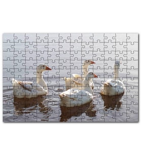 Cakapuzzle Gölde Süzülen Kazlar ve Güneş Işıkları Puzzle Yapboz MDF (Ahşap) (1000 Parça)