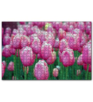 Cakapuzzle Bahçede Pembe Laleler  Puzzle Yapboz MDF (Ahşap) (1000 Parça)