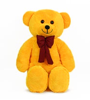 Pandamkee 80 Cm Sevgiliye Özel Hediyelik Ayı (Sarı)
