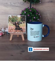 Teyzeye Hediye Fotoğraflı Dekoratif Taş, Kupa Bardak Beyaz Hediye (Model 3)