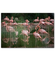 Cakapuzzle Gölde Flamingolar  Puzzle Yapboz MDF (Ahşap) (255 Parça)