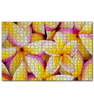 Cakapuzzle Sarı Plumeria Çiçekleri  Puzzle Yapboz MDF (Ahşap) (500 Parça)