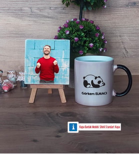 Uykucu Panda Fotoğraflı Dekoratif Taş, Kupa Bardak Beyaz Hediye (Model 9)