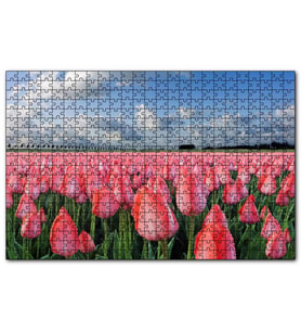 Cakapuzzle Pembe Lale Bahçesi Görseli  Puzzle Yapboz MDF (Ahşap) (1000 Parça)