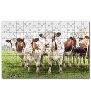 Cakapuzzle Çayırda Tel Örgünün Kenarında İnekler Puzzle Yapboz MDF (Ahşap) (1000 Parça)