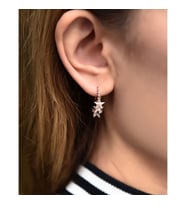 Papatya Silver 925 Ayar Gümüş Kalemli Yıldız Kadın Küpe (Rose)