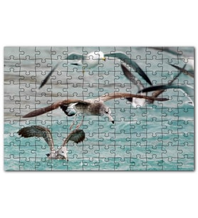 Cakapuzzle Martılar ve Dalgalı Deniz Arkaplan Puzzle Yapboz MDF (Ahşap) (255 Parça)