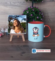 Tatlı Penguen Fotoğraflı Dekoratif Taş, Kupa Bardak Beyaz Hediye (Model 13)