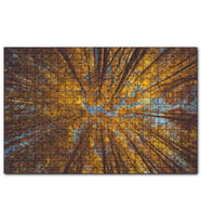 Cakapuzzle Orman Zeminden Yukarı Bakış Sarı Ağaçlar  Puzzle Yapboz MDF (Ahşap) (1000 Parça)