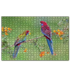 Cakapuzzle Çiçekli Dal Üzerindeki Renkli Papağanlar  Puzzle Yapboz MDF (Ahşap) (1000 Parça)