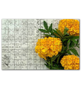 Cakapuzzle Sarı Çiçek Bitkisel Şifa Kitabı Yaprakları Puzzle Yapboz MDF (Ahşap) (500 Parça)