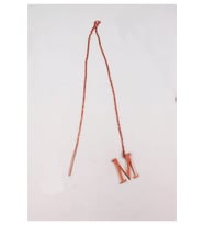 Uzun Zincirli Harf Gümüş Küpe (Rose)