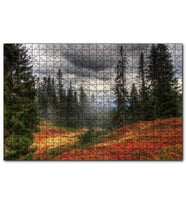 Cakapuzzle Orman Kara Bulutlar Turuncu Çiçekler  Puzzle Yapboz MDF (Ahşap) (1000 Parça)