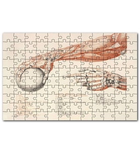 Cakapuzzle İnsan Anatomisi El Kol Görseli Puzzle Yapboz MDF (Ahşap) (255 Parça)