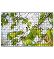 Cakapuzzle Ağacın Dalları Arasındaki Kırmızı Yüzlü Kuş  Puzzle Yapboz MDF (Ahşap) (1000 Parça)