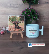 Matematik Öğretmeni Fotoğraflı Dekoratif Taş, Kupa Bardak Beyaz Hediye Öğretmenler Günü Hediyesi (Model 12)