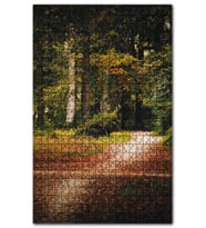 Cakapuzzle Sonbahar Yaprakları Patika ve Sık Orman Puzzle Yapboz MDF (Ahşap) (500 Parça)