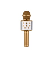 TV50 Mikrofonlu Hoparlörlü Bluetooth /TF Kart/USB Destekli Karaoke (Altın)