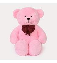 Sevimli Mi Sevimli 100 Cm Romantik Ayıcık (Pembe)