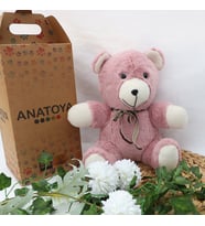 Pinpon Ayıcık - Anatoya (Pudra)
