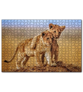 Cakapuzzle Kardeşlik Başkadır Yavru Aslanlar  Puzzle Yapboz MDF (Ahşap) (255 Parça)