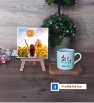 Patoloji Teknikeri Fotoğraflı Dekoratif Taş, Ahşap Altlıklı Türk Kahvesi Fincanı Hediye (Model 1)