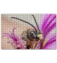 Cakapuzzle Eflatun Çiçeklerin Arasında Boynuzlu Arı Puzzle Yapboz MDF (Ahşap) (500 Parça)