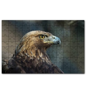 Cakapuzzle Keskin Bakışlı Kartal Yakın Profil Puzzle Yapboz MDF (Ahşap) (255 Parça)