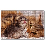 Cakapuzzle Sevimli Tekir ve Minicik Yavrusu Yakın Çekim  Puzzle Yapboz MDF (Ahşap) (1000 Parça)