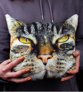eJOYA Kedi Yüzü Şirin Yastık 107107 (Turkuaz)
