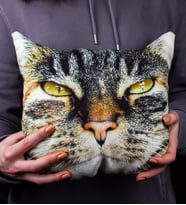 eJOYA Kedi Yüzü Şirin Yastık 107107 (Turkuaz)