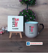 Arkadaşa Hediye Dekoratif Taş, Kupa Bardak Kırmızı Hediye (Model 9)