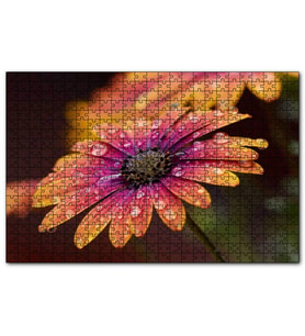 Cakapuzzle Kasımpatı ve Yağmur Damlaları Yakın Plan  Puzzle Yapboz MDF (Ahşap) (1000 Parça)