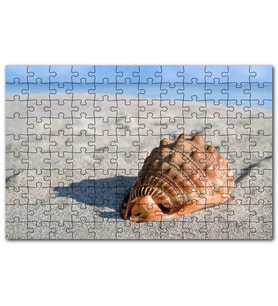 Cakapuzzle Kumsalda Dev Deniz Kabuğu Puzzle Yapboz MDF (Ahşap) (500 Parça)