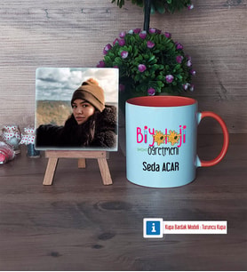 Biyoloji Öğretmeni Fotoğraflı Dekoratif Taş, Kupa Bardak Beyaz Hediye (Model 13)